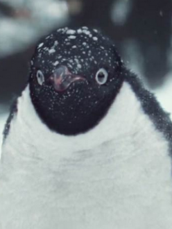 Screen Shot 2014-11-10 at 10.33.42